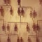 Cracking the code: Using genetic genealogy to unmask serial criminals