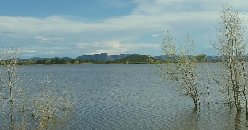 Wildlife officials ask anglers to 'fish out' Colorado lake before broken dam drains all water 