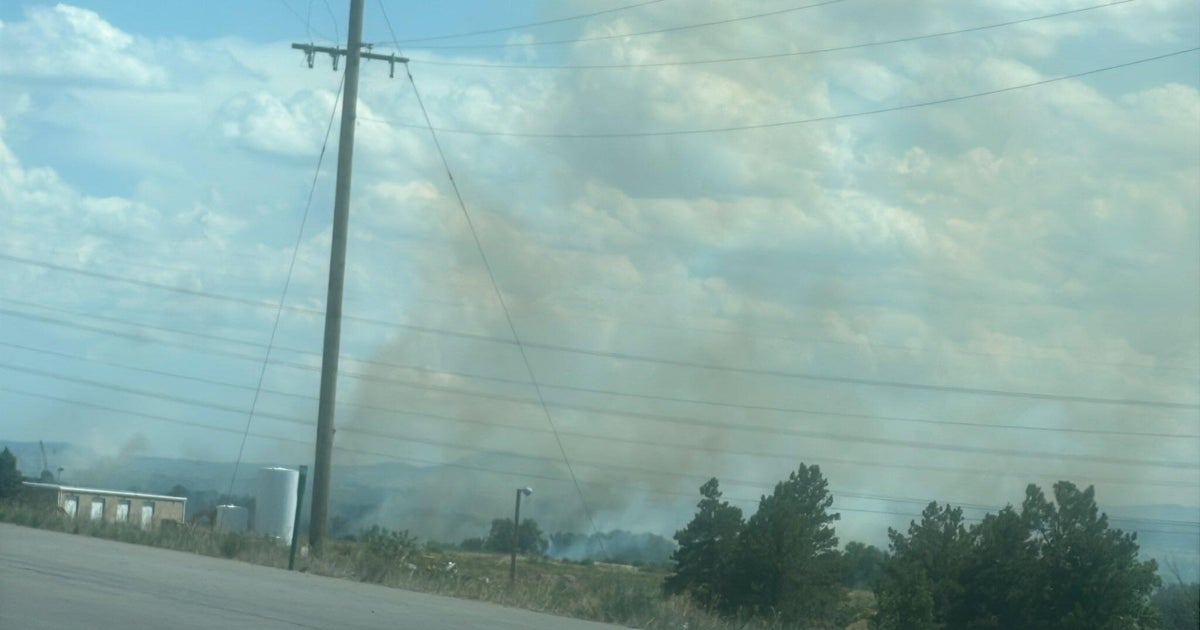 Two-alarm vegetation fire prompts code red in Douglas County 