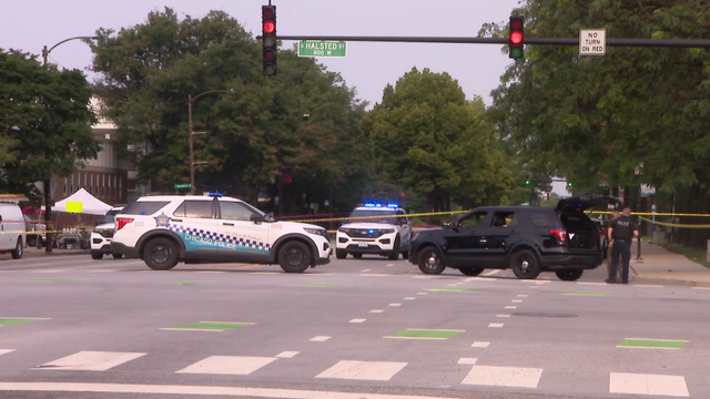 chicago-police-department-squad-car-side.png 
