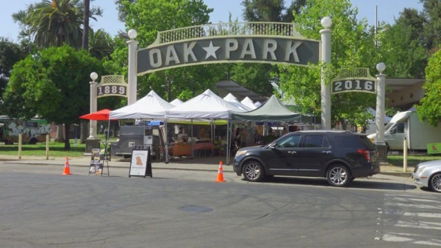 sat-5p-p-celebrate-oak-kmaxdqba.jpg 