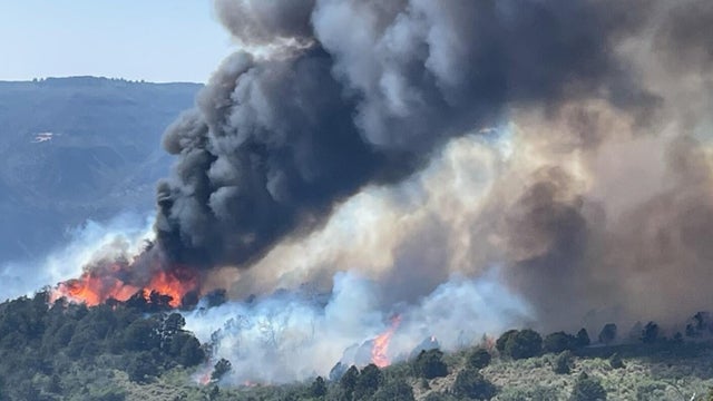 turner-gulch-fire-1-blm.jpg 