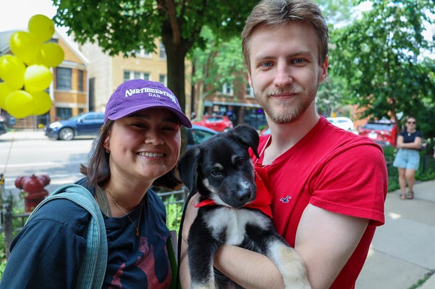 hashbrown-awt-adoption.jpg 