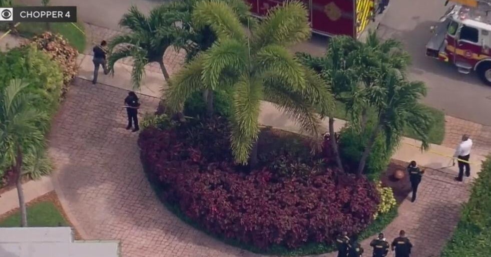 Person electrocuted while trimming palm tree in Oakland Park, fire department says