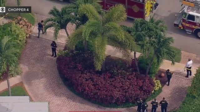 oakland-park-electrocution.jpg 