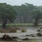 Heavy rains in Texas halt search efforts for victims of deadly floods