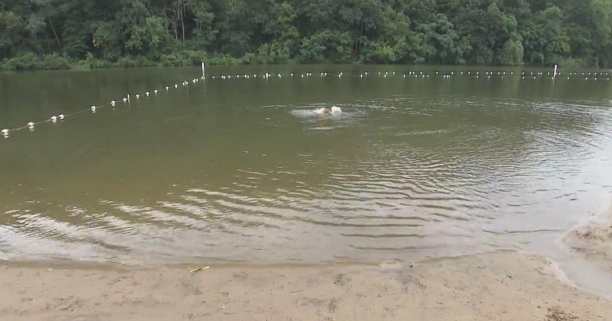 Raccoon Creek State Park reopens swimming area after E. coli-related closure 