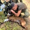Dog loses leg in bomb explosion, credited with saving dozens of lives