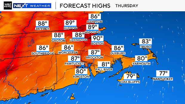 Forecast 