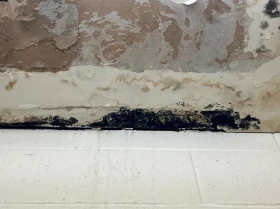 pic-7-celing-mold-and-water-damage.jpg