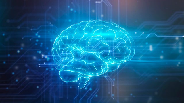 AI Brain and Circuitry 