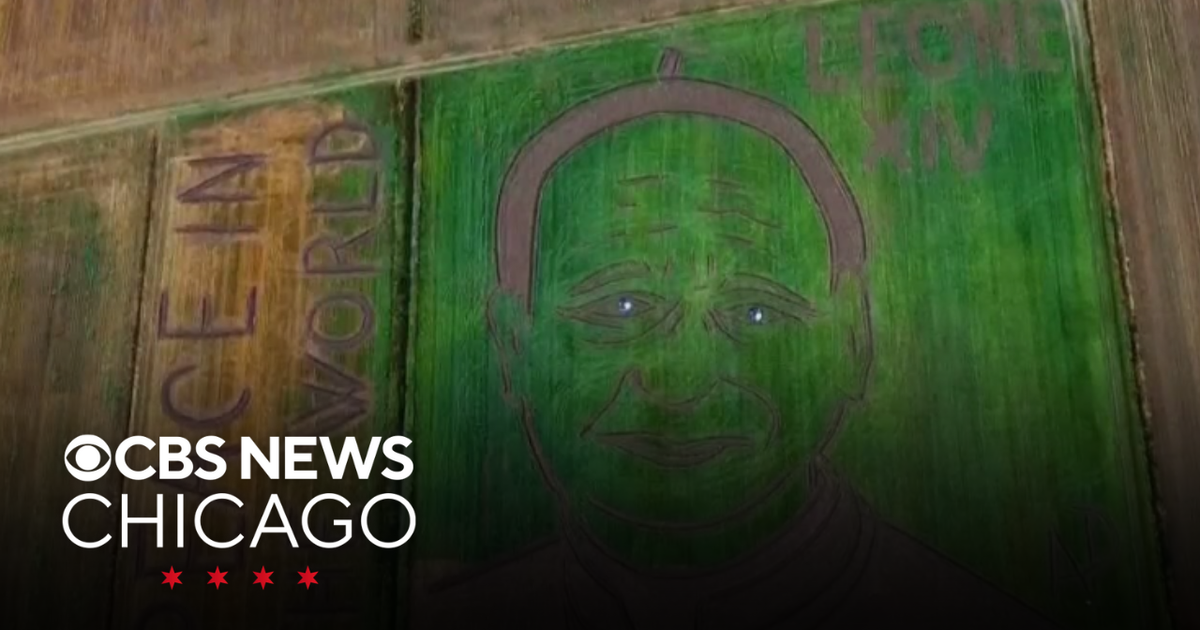 Italian artist cuts image of Pope Leo XIV into field in Verona