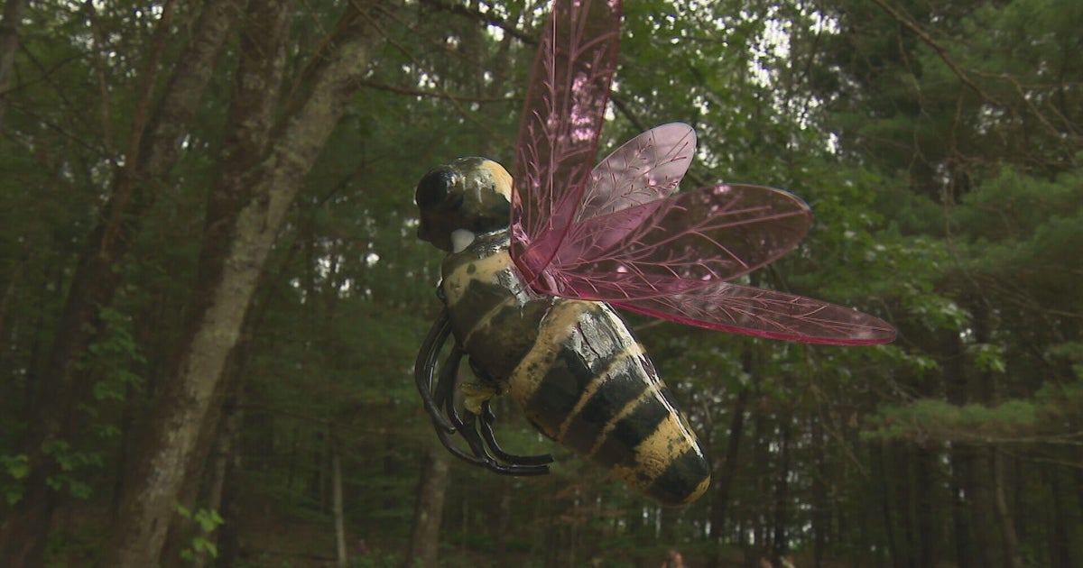 "Art on the Trails" invites you to view exhibits on a walk in Southboro 