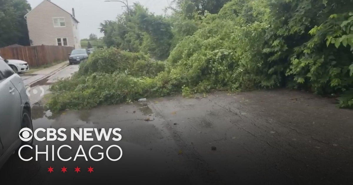 Severe thunderstorms in Chicago leave power outages, downed trees ...