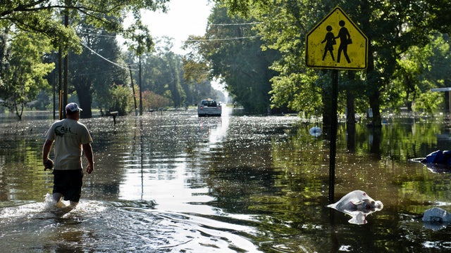                        20 states sue DHS, FEMA for cuts to disaster mitigation program                   