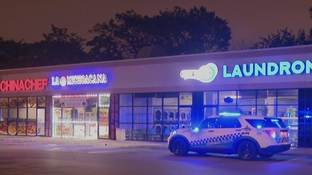 Portage Park burglaries 