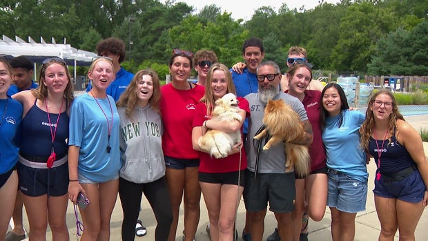 5p-pkg-como-pool-dog-wcco8ai6-00-01-3413-1.jpg 