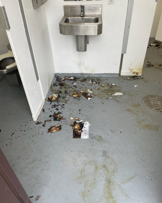 bathroom-vandalim-wellington.jpg 