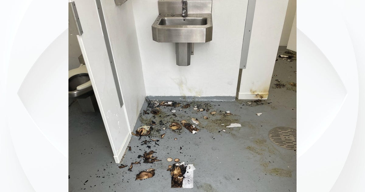 Destructive vandalism plaguing Wellington's pubic spaces, town reports 