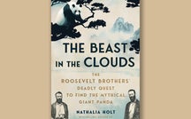 Book excerpt: "The Beast in the Clouds" by Nathalia Holt 