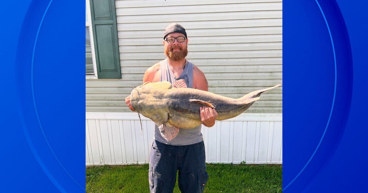 Monroe County man lands record-breaking flathead catfish 