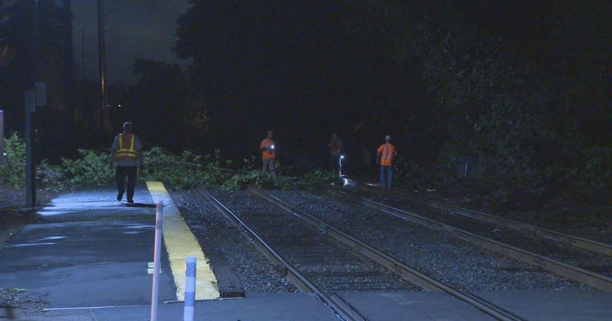 Powerful storm knocks down trees and damage homes in Massachusetts 