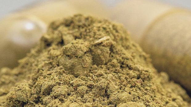 Kratom 