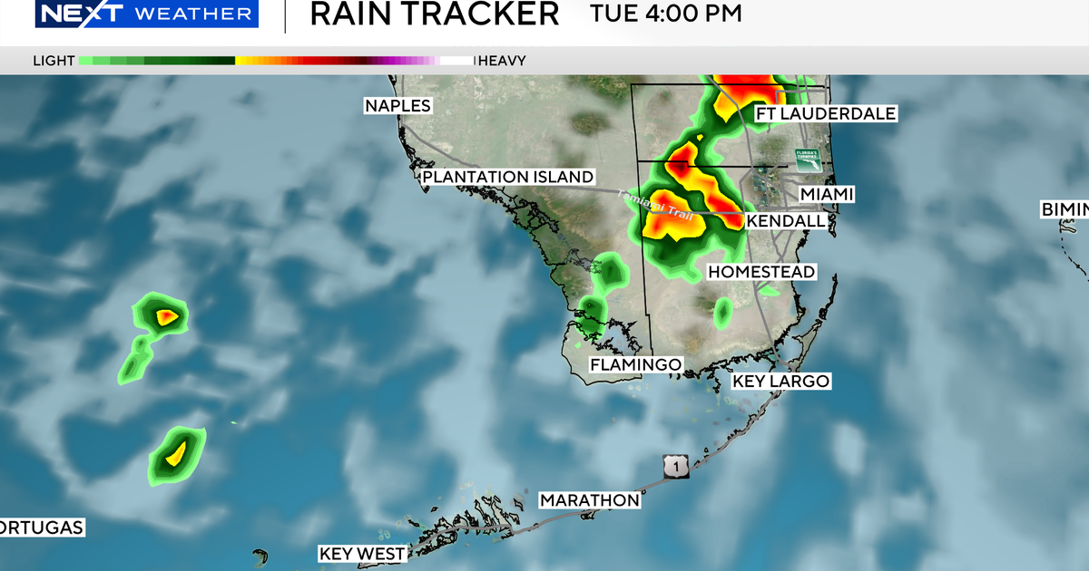 Afternoon showers return to South Florida mid-week 