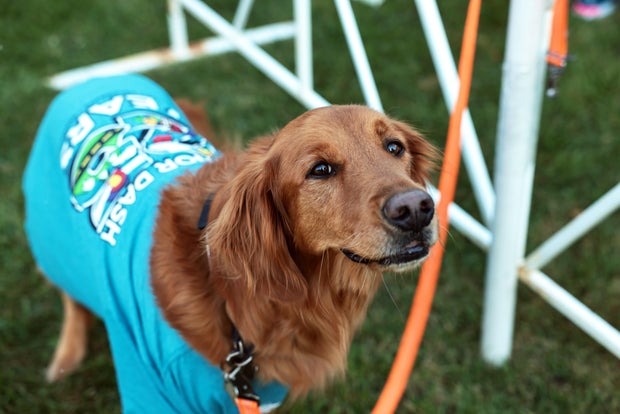 donor-dash-2025-at-washington-park-000033.jpg 