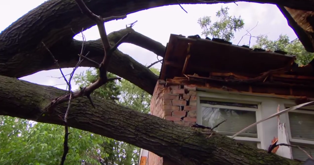 Fast-moving storms knock trees onto houses, cut power 