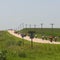 Deadly heat dome scorches Midwest and South as humidity climbs