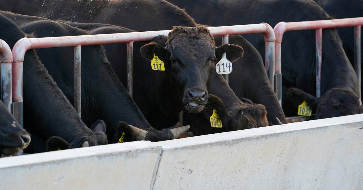 Australia to ease restrictions on U.S. beef imposed over mad cow disease 