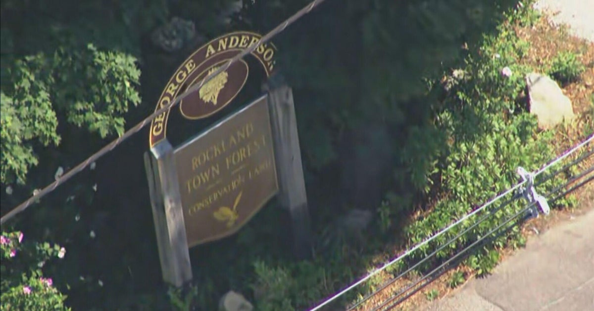 Man grabbed female dog walker in Rockland Town Forest, police say 