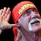 Hulk Hogan's impact on professional wrestling