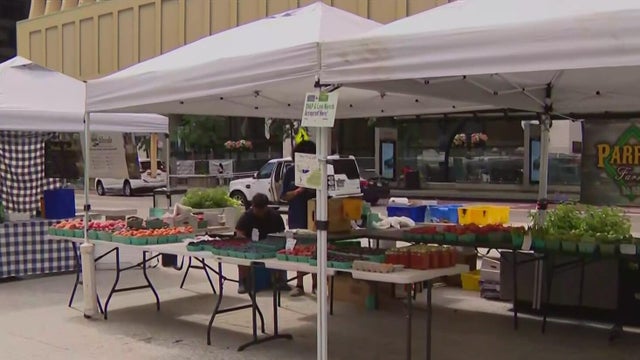 Daley Plaza farmers market 