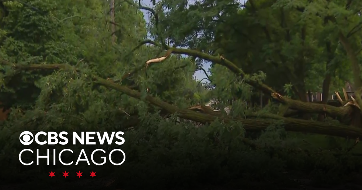 Widespread damage as fast-moving storms pound Chicago area - CBS Chicago