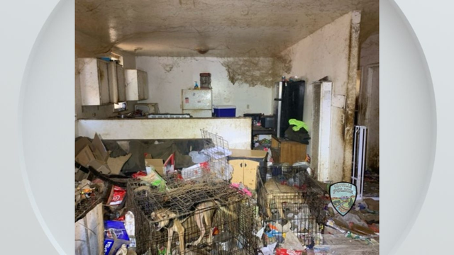 oroville-dogs-neglected.png 