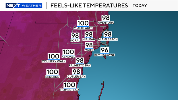 miamidadefeels.png 