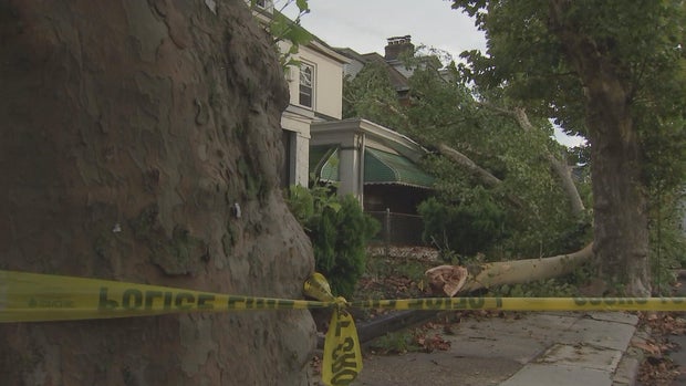 23pkg-kc-trenton-tree-onto-home-transfer-frame-135.jpg 