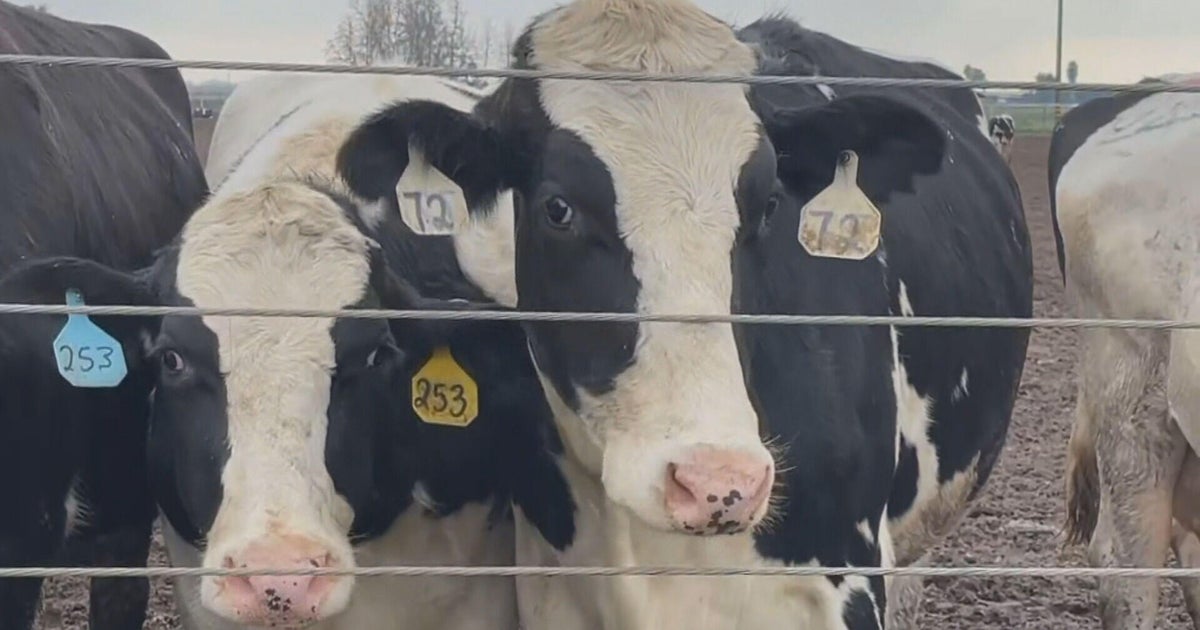 USDA to relocate HQ in part to Northern Colorado 