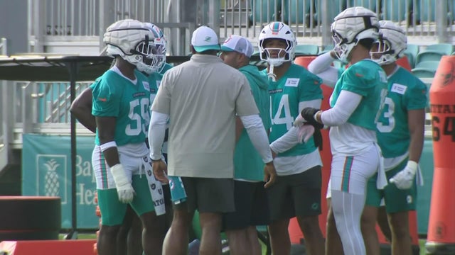 23-sot-camp-dolphins-7-wforbx4i.jpg 