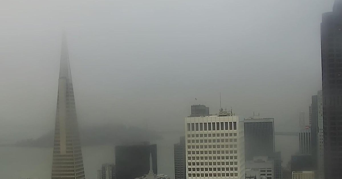 SF sets record for rainiest July week since 1850, adding to its unusual summer 