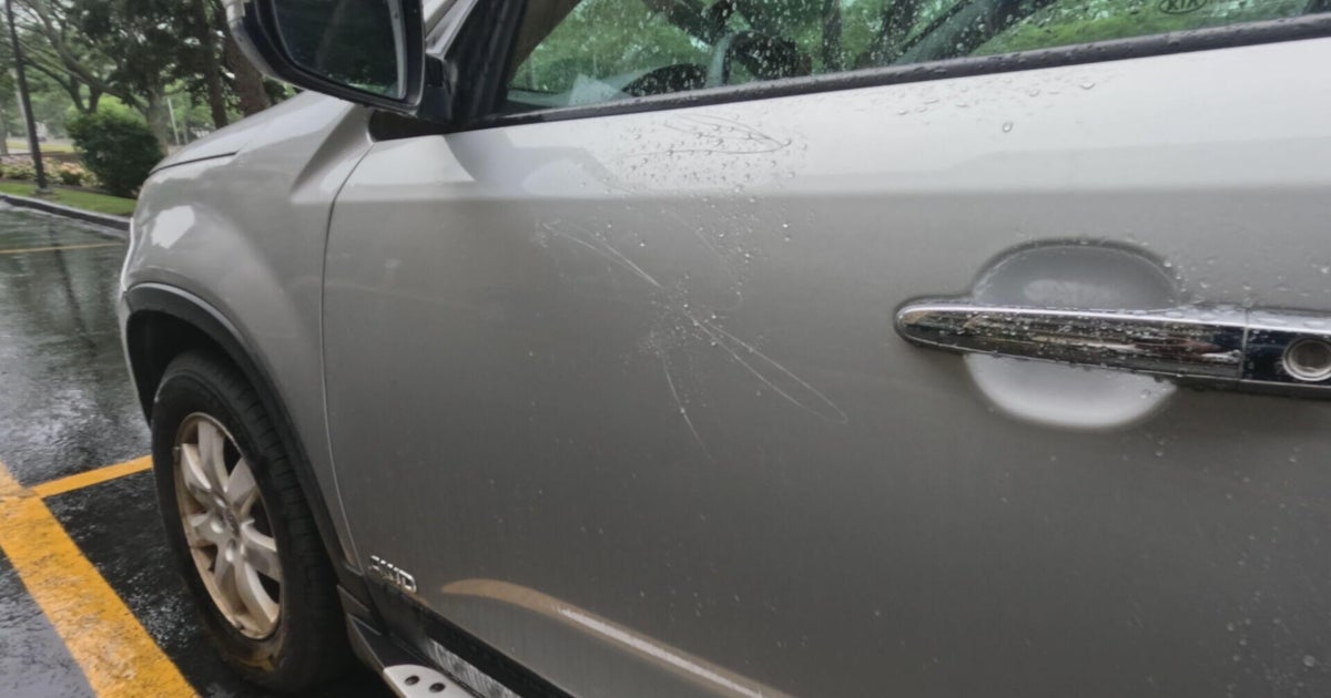 More than 30 cars damaged in Quincy as police search for vandal 