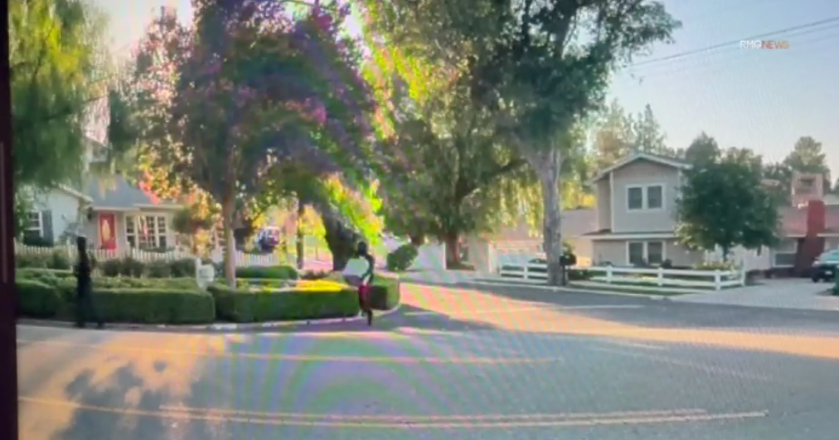 Tesla camera captures video of suspects stealing safe from Woodland Hills home 