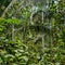 Outrage after environmental activist shot to death in Peruvian Amazon