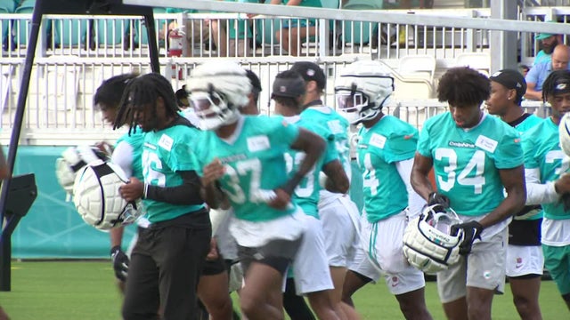 a-tz2-camp-dolphins-wforbxgh.jpg 