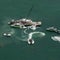 Boat crash near Miami kills two children, critically injures two others