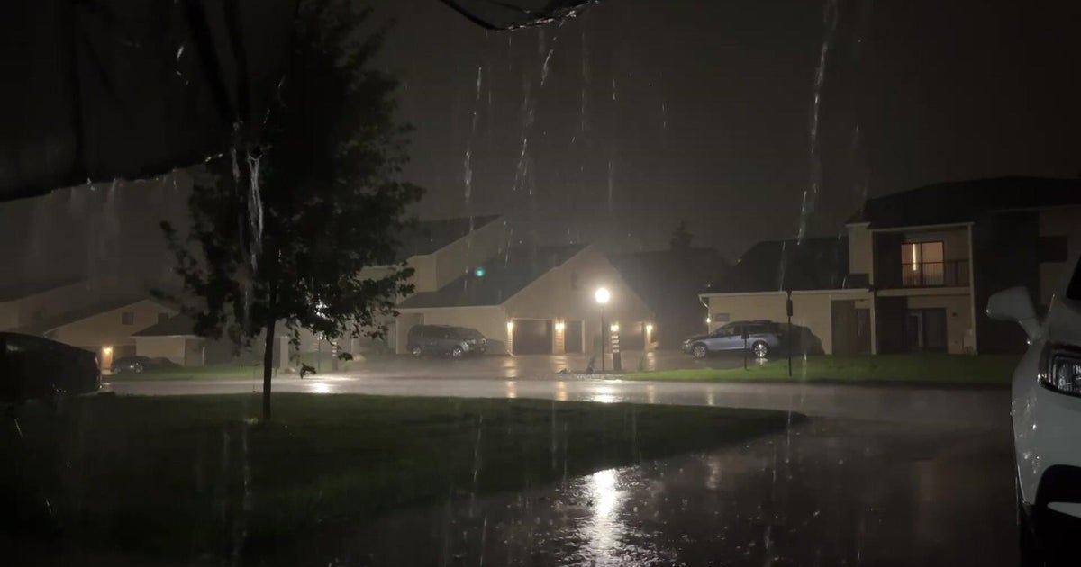 Heavy rain, strong winds move through Twin Cities metro 