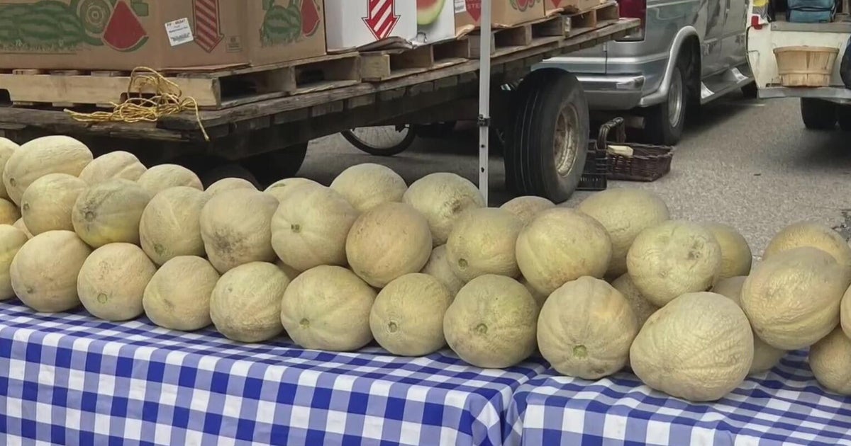 City of Howell prepares for 65th annual Melon Festival 