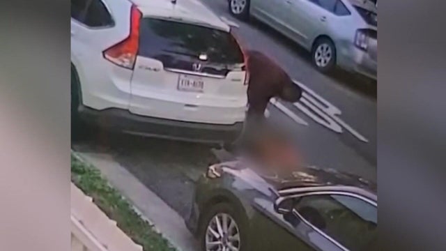 A man leaning over a motionless dog in the street 